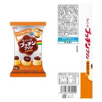 江崎グリコ(株)(旧グリコ乳業) [冷蔵]グリコ ちょこっとプッチンプリン 2種全24個(カスタード・ショコラ) 1セット(2種計24個)（直送品）