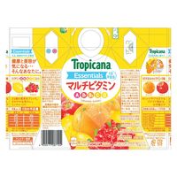江崎グリコ エッセンシャルズマルチビタミン 330ml×12個 4909411087104 1セット(12個)（直送品）