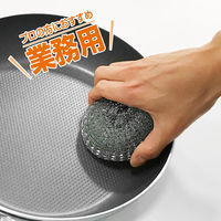 業務用 PRO 金たわし コゲつき 錆び落とし 鉄製器具の磨き洗いに 1個 ワイズ