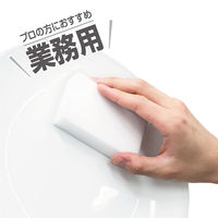 業務用 PRO メラミンスポンジ 水だけでしつこい汚れもスッキリ落とせる 洗剤不要 1パック（10個組）ワイズ