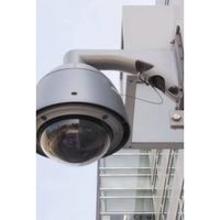 共成 落下防止ステンレスワイヤー線径1mm(2本セット)2000L 1-2000 1セット(2本) 557-9262（直送品）