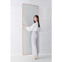 日学 フレックスムーブ FLM-11 1台 611-0208（直送品）