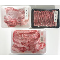 キングマカデミアンJAPAN 日本三大ブランド黒毛和牛祭り 600g JB91322 1セット（直送品）