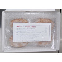 キングマカデミアンJAPAN 静岡発 衝撃のハンバーグ(生)4個 JB91604 1セット（直送品）