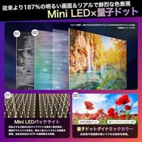 Hisense 4K液晶テレビ【65V型/4Kチューナー内蔵/地上・BC・CS】 65U9N 1台（直送品）