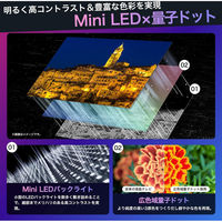 Hisense 4K液晶テレビ【65V型/4Kチューナー内蔵/地上・BC・CS】 65U8N 1台（直送品）