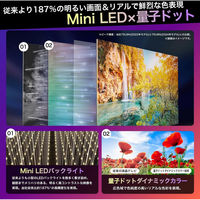 Hisense 4K液晶テレビ【75V型/4Kチューナー内蔵/地上・BC・CS】 75U9N 1台（直送品）