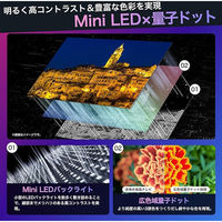 Hisense 4K液晶テレビ【85V型/4Kチューナー内蔵/地上・BC・CS】 85U8N 1台（直送品）