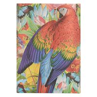 Paperblanks ペーパー DJD6200 2025 トロピカル・ガーデン 1冊（直送品）