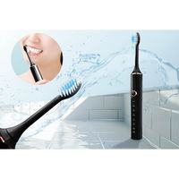 ハック 音波電動歯ブラシ ピュアブラシ ブラック HAC4354 1個