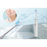 ハック 音波電動歯ブラシ ピュアブラシ ホワイト HAC4355 1個