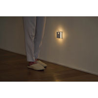 アイリスオーヤマ 乾電池式LEDセンサーライト BSL-MS2 1個（直送品）