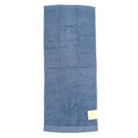 林 やわらかフェイスタオル テックカラー ブルー FO438001 1枚