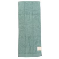 林 やわらかフェイスタオル テックカラー グリーン FO438004 1枚