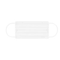 アイリスオーヤマ プリーツマスク ゆったり大きめサイズ ホワイト　PK-NV40LL　プリーツ　1箱(40枚入)