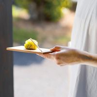 ヤマコー 杉・お手元小皿 17364 1枚（直送品）