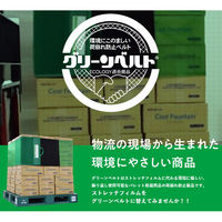 【荷崩れ防止】アイクライス　グリーンベルト G10 50mm×4700mm 1本（直送品）