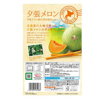 江崎グリコ 北海道限定 ポッキー 夕張メロン 13本入 Pocky 4901005561083 1セット(13本入×10箱)（直送品）