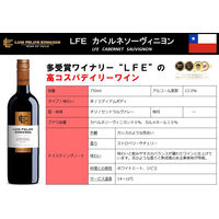 チリ ルイスフェリペエドワーズ カベルネソーヴィニョン 赤ワイン ミディアムボディ 750ml 1本　三菱食品