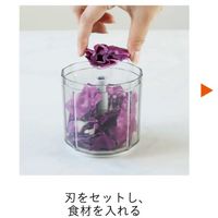 シービージャパン ハンディーチョッパー atー04 4573306871873 1台