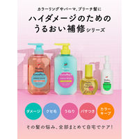 ネイチャーラボ ハローダイアン グッバイ ダメージリペア トライアル シャンプー&トリートメント 4580632118954 1個