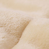 nishikawa　西川　バイカラー毛布　hauu　もちもちブランケット　2枚合わせ　吸湿発熱　洗える　寝具　インテリア　NEWブランド　イエロー