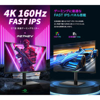 TitanArmy 27インチ 4K 160Hz Fast IPS モニター P27H2V 1台（直送品）