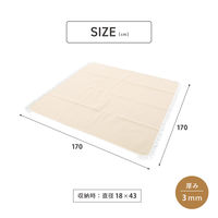 武田コーポレーション ピクニックラグ フリンジ PL24-170BE 1箱(8個入)（直送品）
