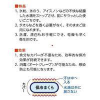看護用品研究所 ナース・カバー/氷けい用 N-272 1個（直送品）
