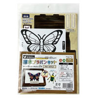 【アウトレット】【Goエシカル】訳あり 空想標本プラバンキット KSK05 1セット（10パック）ハピラ