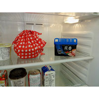 脱臭剤 炭番 冷蔵庫用 置き型 200g 強力脱臭 約1～2.5カ月分 日本製 1個 小久保工業所