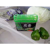 脱臭剤 炭番 野菜室用 置き型 200g 強力脱臭 約1～2.5カ月分 日本製 1個 小久保工業所