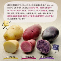 ポテトファーム じゃがピリカ オホーツクの塩味 18g×10袋入 4901330804756（直送品）