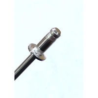 ニッセンリベット 丸頭 ＮＳＴ６-３ＥＸ（ＮＳＴ６３ＥＸ）ヒノマル　1箱（1000本）（直送品）