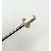 ニッセンリベット 丸頭 ＮＳＡ６-６Ｃ（ＮＳＡ６６Ｃ）ヒノマル　1箱（1000本）（直送品）