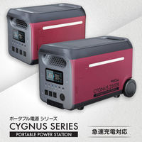 イチネンアクセス PB-2500R ポータブル電源 CYGNUS 2500R 88205 1個（直送品）