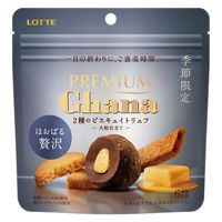 ロッテ プレミアムガーナ 2種のビスキュイトリュフ ＜大粒仕立て＞ 4個 チョコレート