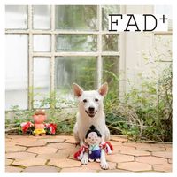 （数量限定）プラッシュトイ・ウィズロープ アカオニ 1個 ダッドウェイ 犬用 おもちゃ