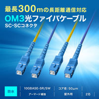 サンワサプライ  防水ロバスト光ファイバケーブル（マルチ50μmOM3、2芯、両端SC×2、20m HKB-WRB2M3SCSC-20（直送品）