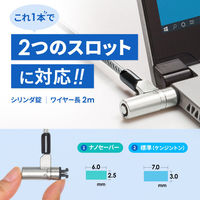 サンワサプライ スロット標準&nano対応セキュリティワイヤー(eセキュリティ・鍵No.1) SLE-91S-1 1本（直送品）