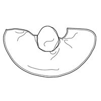 セーフラン安全用品 洗える頭巾 つば付き/タレ有り/マスク止め (50枚入) J2674-M 1箱(50枚入)（直送品）