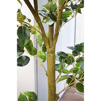 アスカ商会 ファイカスツリー(ポット付)(組み立て式) A-50867-051A 1個（直送品）