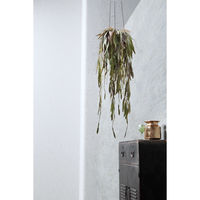 アスカ商会 ハンギングカクタス(ポット付) A-51097-053P 1個（直送品）