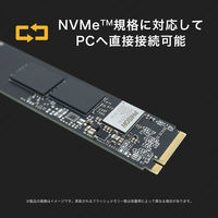 プリンストン NVMe対応内蔵SSD 1TB PHD-ISM2G4-1T 1台（直送品）