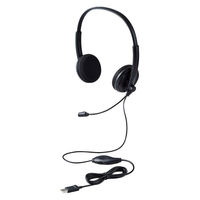 ヘッドセット USB 有線 単一指向性 ノイズキャンセリング オーバーヘッド HS-HP06SUBK 1個 エレコム（わけあり品）