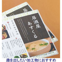 アスクル　ラミネートフィルム　マットタイプ　A3　1箱（100枚入） オリジナル（わけあり品）