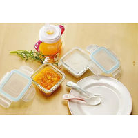 ヒロショウ クラルテ 耐熱ガラス製 保存容器 角型ミニ 2点セット CTH-140 1セット（直送品）