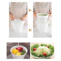 ヒロショウ リッチリッチサラダ R-0501 1個（直送品）