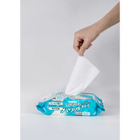 丸藤 フローリングウェットシート 40枚入 4580639721980 1セット(10個)（直送品）