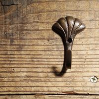 ポッシュリビング ブラスフック W3×D2.5×H5cm 62531 1セット(6個)（直送品）